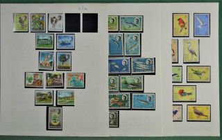 British Indian Ocean Territories Stamps Selection To On 9 Pages (z57)