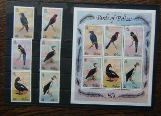 Belize 1978 Birds 2nd Series Set & Miniature Sheet Lmm