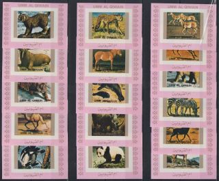 O941.  Umm Al Qiwain - Mnh - Animals - Various - Deluxe - Imperf