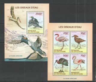 X1371 2014 Ivory Coast Fauna Water Birds Oiseaux D 