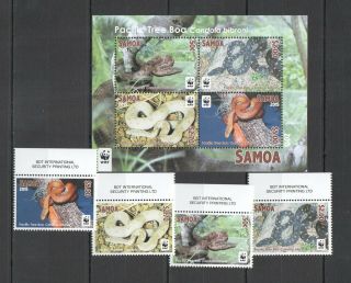 Y476 2015 Samoa Wwf Fauna Reptiles Snakes Pacific Tree Boa 1kb,  1set Mnh