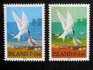 Iceland 1972 Birds.  Full Set Of 2 Stamps.  Nh