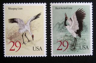 United States 1994 Birds.  Full Set Of 2 Stamps.  Nh