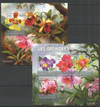 Ca238 2015 Central Africa Nature Flora Flowers Orchids Kb,  Bl Mnh