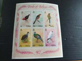 Belize 1977 Sg Ms458 Birds (1st Series) Mnh