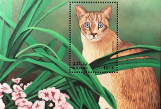 Maldives Cat Stamps Souvenir Sheet 1998 Mnh Snowshoe Cats Of The World Flowers