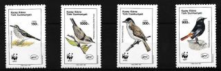 Turkish Republic Of Northern Cyprus 1990,  World Environment Day,  Birds,  Mnh