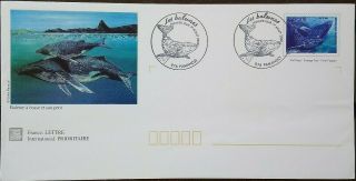 Mayotte 2000 Whales Postal Stationery Cover With Pamandzi Whale Postmark