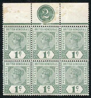 British Honduras Sg51 Qv 1c Green Plate Block Of Six (5 X U/m)