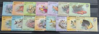 Belize 1984 Sg766 - 81 Qeii Marine Life Thematic Set To $10 Fine Mnh