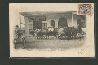 1904 French Somali Coast Djibouti Post Card France Arrival