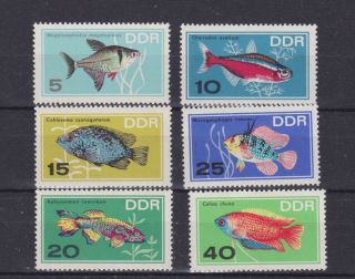 E.  Germany Ddr 1966 Sc 865/70,  Fish,  Set Mnh O308