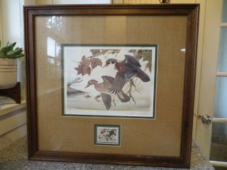 1982 1st Ohio 1st Of State Duck Stamp Print By John Ruthven Framed 6245/9000