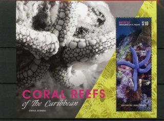 Mayreau Grenadines St Vincent 2014 Mnh Coral Reefs Of Caribbean 1v S/s Sea Star