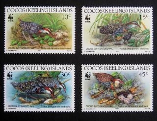 Cocos (keeling) Islands 1992 Birds.  Full Set Of 4 Stamps.  Mnh
