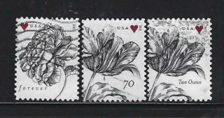 Us Sc 4959 - 60 5002 Vintage Rose & Tulips Set Of 3 Off Paper Sound