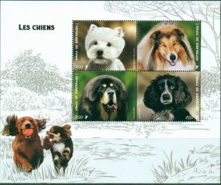 2019 Dogs Domestic Animals Russian Spaniel Westie Collie Tibet