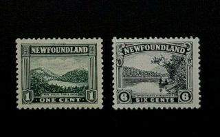 Newfoundland Stamp Selection Mnh