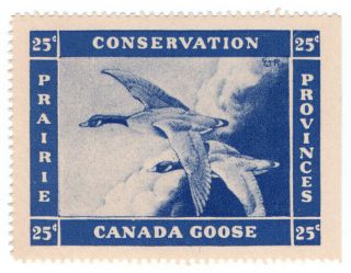 (i.  B) Canada Cinderella : Conservation Charity 25c (canada Goose)