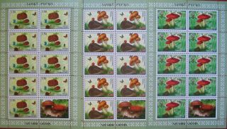 Tajikistan 2019 Mushrooms,  Butterfly 3 M/s With Labels Perforated Mnh