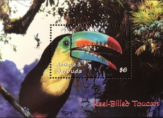 Antigua Keel - Billed Toucan S/s 2000 Mnh Animals Of The Rainforest Stamps Bird