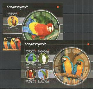 Tg117 2015 Togo Fauna Birds Parrots Les Perroquets Kb,  Bl Mnh