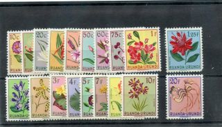 Ruanda - Urundi Sc 114 - 32 (mi 133 - 51) F - Vf Nh 1953 Flower Set (1f25 Perf Nib) $125