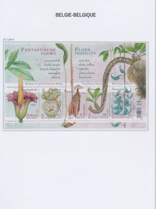 Xb70579 Belgium 2014 Flowers Nature Good Sheet Mnh Fv 9,  5 Eur