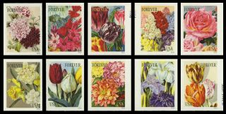 Us (5051d) Imperforate Botanical Art Set Of 10 Single Stamps Nh Mnh