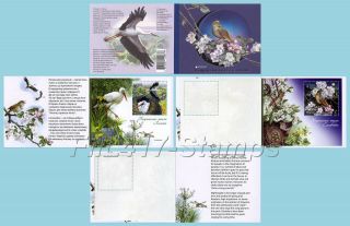2019 Ukraine.  Booklet - Europa Cept " National Birds Of Ukraine ".