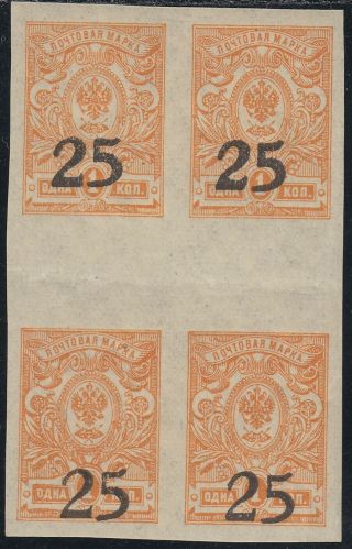 1918 Southern Russia Caucasus Dons Army Civil War Block Of 4 Gutter Pair Mnh