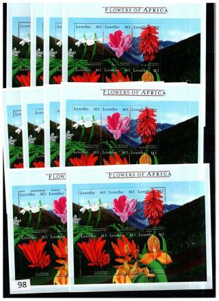,  10x Lesotho - Mnh - Flowers,  Flora -