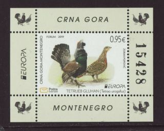 Montenegro 2019 Mnh - Europa - National Birds - M/sheet