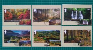 2019 Forests Phq Postards Set Of 6 Fd 6 Different Postmarks Front
