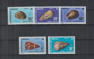D277.  Comoro - Mnh - Nature - Shells