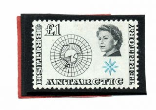 Br.  Antarctic Territory Qe2 1963 £1.  Black & Light Blue Sg 15 Vlh.