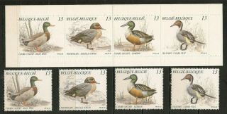 Belgium 1989 Wildlife Fauna Birds Vögel Oiseaux Ducks Compl.  Set,  Booklet Mnh