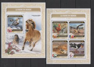 A1304 2016 Togo Birds Of Norway Roosters Horses Fauna Kb,  Bl Mnh Stamps