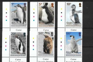 British Antarctic Territory 2018 Issue Penguins & Chicks Defs Mnh