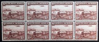 Kgvi Sg96 01 Mar 1937 1.  5d Block Of (8) 4 Pairs Mnh South West Africa A1077
