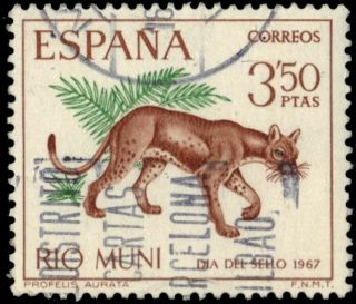 Rio Muni 69 (mi82) - African Golden Cat " Profelis Aurata " (pf94869)