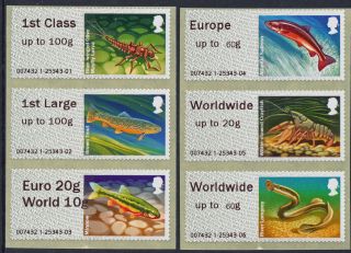 Wincor Type Ii Rivers With Dual Value Euro 20g/world 10g Coll Set/6 Post & Go