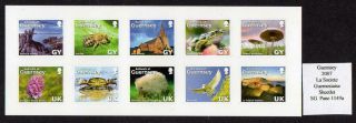 Guernsey 2007 La Societe Guernesiaise Sheetlet Stamp Books And Stamp Panes Um