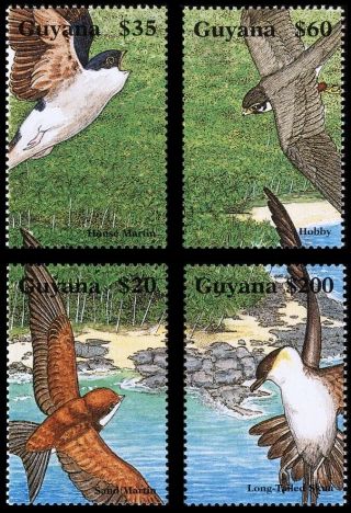 Guyana Animal Birds Full Mnh Set (4) 1995 2991a - D Mi 5311 - 4
