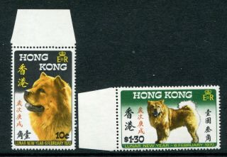 1970 China Hong Kong Gb Qeii Year Of The Dog Set Stamps Unmounted Mnh U/m