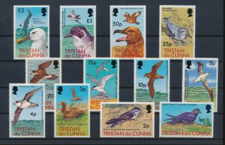 Lk67898 Tristan Da Cunha Animals Fauna Flora Birds Fine Lot Mnh