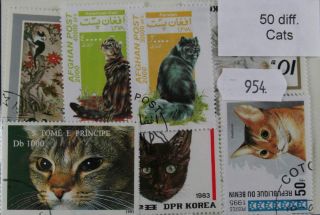 50 Cats Stamps,  All Different.  (954)