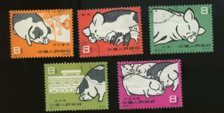 Pr China 1960 S40 Pig Breeding,  Used/cto