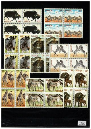 ,  4x Rwanda 1984 - Mnh - Animals - Zebras