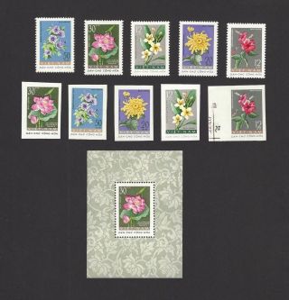 Vietman North 1962 Flowers 5v Perf,  5v Imperf,  S/s Mnh Scott 203 - 7/6a
